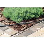 Микроджет капельница для полива Крокус 52 л/ч 360° Presto-PS 7719