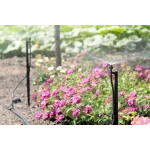 Капельница для полива микроджет Гном Presto-PS MJ-1603