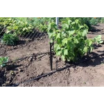 Капельница для полива микроджет Зонтик-В Presto-PS MS-1101-В