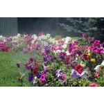 Набор система туманообразования Presto-PS 1006-S