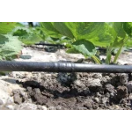 Капельная трубка многолетняя с капельницами через 100 см, длина 200 м, в упаковке - 1 шт. Presto-PS MCL-100-200