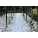 Капельница садовая регулируемая 0-70 л/ч. Presto-PS AOD-0170