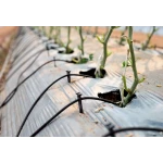 Крапельна трубка сліпа Presto-PS для садових крапельниць діаметр 3,5*0,7 мм, довжина 200 м (PVH 35B 07)