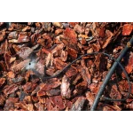 Микроджет капельница для полива Зонтик 360° Presto-PS AS-M68