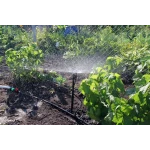 Капельница для полива микроджет Шуруп Presto-PS MJ-1414