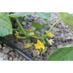 Трубка капельная многолетняя с капельницами через 20 см, длина 200 м с маркировкой метража Presto-PS MCL-20-200