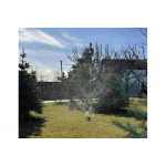 Зрошувач з трьома ріжками на підставці Presto-PS 7825