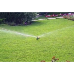 Ороситель круговой Гвоздика на ножке Presto-PS SP-3203