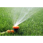 Дощувач Presto-PS зрошувач багатофункціональний "Гриб" (8108)