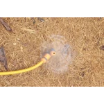 Зрошувач круговий Тюльпан Presto-PS 8401