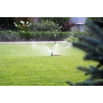 Ороситель статический Куб 5 Presto-PS 2942