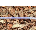 Шланг пвх пищевой Сrystal Tube диаметр 8 мм, длина 100 м Presto-PS PVH 8 PS