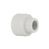 Муфта PPR Blue Ocean 20х3/4