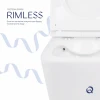 Унітаз підвісний Qtap Tern безобідковий з сідінням Soft-close QT1733052ERW