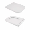 Унітаз підвісний Qtap Tern безобідковий з сідінням Soft-close QT1733052ERW