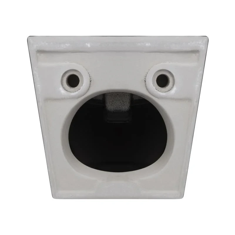 Биде подвесное Qtap Robin 495х370х325 Matt black QT1355046FMB