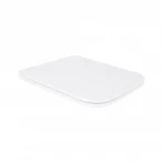 Сидіння для унітаза Qtap (Tern) з мікроліфтом Slim QT99HXU10W
