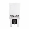 Унітаз-моноблок підлоговий Qtap Swan Ultra Quiet безобідковий з сидінням Soft-close WHITE QT16226080AW