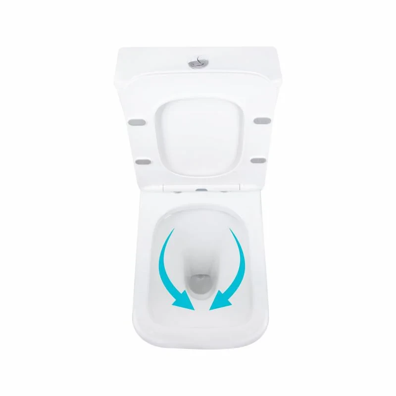 Унітаз підлоговий Qtap Aries Rimless безобідковий з сидінням Soft-close WHITE QT03228302W