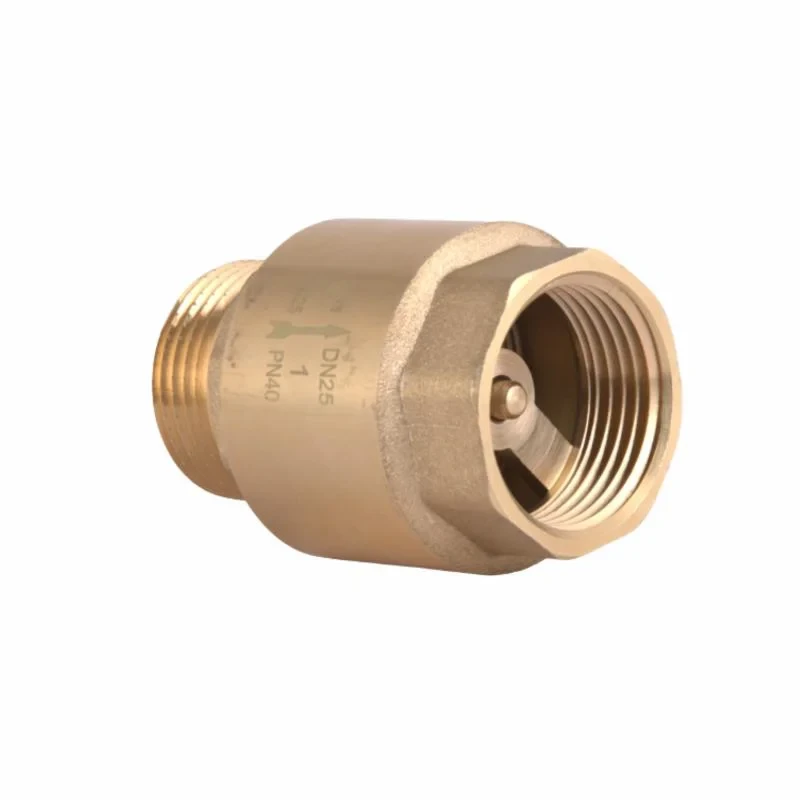 Клапан зворотний Thermo Alliance Standart 1