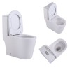 Унітаз-моноблок підлоговий Qtap Swan Ultra Quiet безобідковий з сидінням Soft-close WHITE QT16226080AW