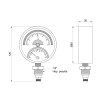 Термоманометр SD Plus 80 мм 1/2", нижнє підмикання SD1726B