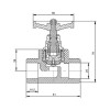 Кран PPR Blue Ocean вентильний 25, короткий