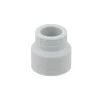 Муфта редукционная PPR Raftec 63х25 мм RR6325