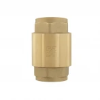Обратный клапан для воды Raftec EUROPE DN25 1