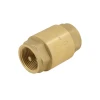 Зворотний клапан для води Raftec EUROPE DN25 1" NRVF03