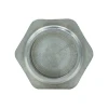 Заглушка Raftec PN40 ЗЗ 1" ZN03