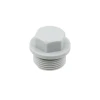 Заглушка PPR НН Raftec 3/4" RP02