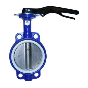 Батерфляй ЭКО PN16 2 1/2"
